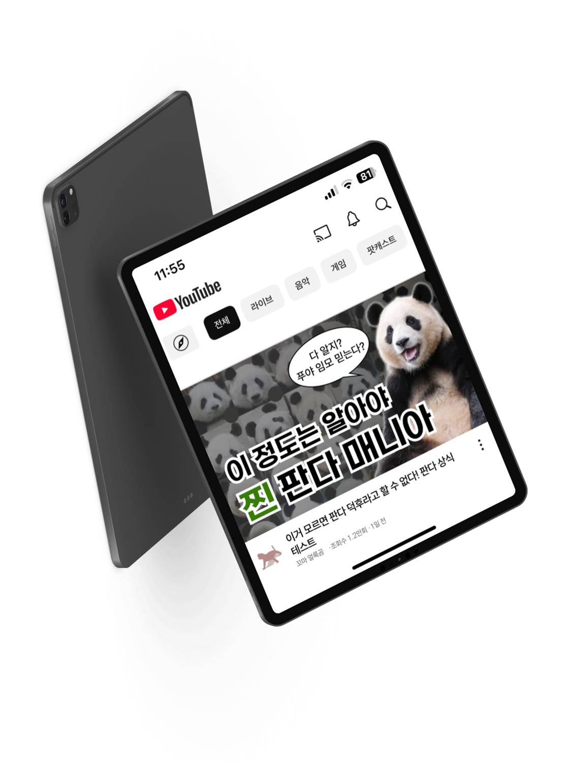 판다 영상 썸네일