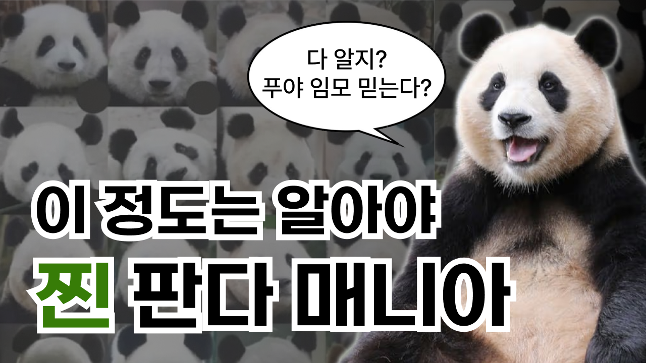 판다 영상 썸네일 1